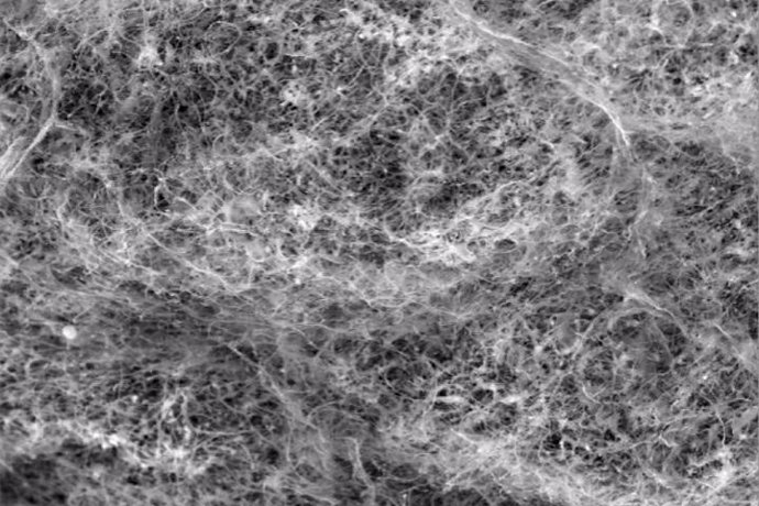 Imagen de microscopio electrónico de barrido (SEM) de la red de polímeros que forma las mucinas.