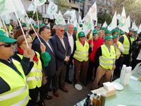 UPA-A cree que el almacenamiento privado de aceite "mejorará" el sector del olivar pero "llega tarde"