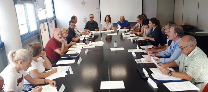 El Consell Municipal de Model de Ciutat