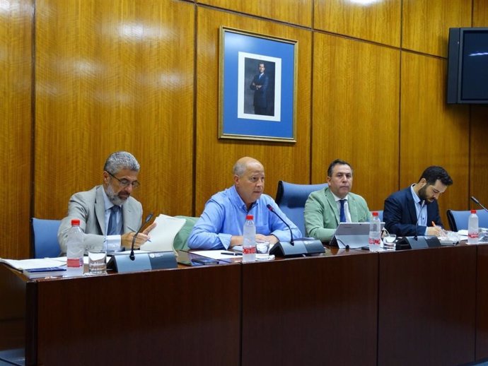 El consejero de Educación y Deportes, Javier Imbroda, en una imagen de archivo en comisión parlamentaria.