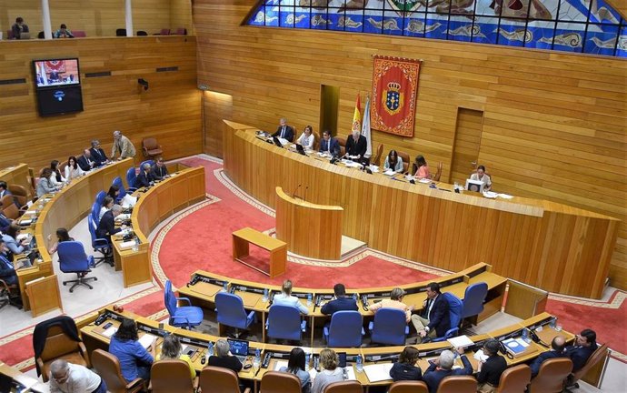 Hemiciclo do Parlamento de Galicia na votación de María Dores Fernández Galiño como nova valedora do Pobo.