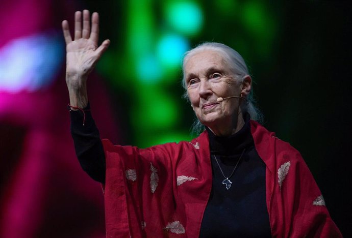 21 June 2019, Bavaria, Munich: British behavioural scientist Jane Goodall delivers a speech during the "Reasons for Hope" lecture as part of her global tour in hope that she could inspire people for their field of research. Photo: Sven Hoppe/dpa