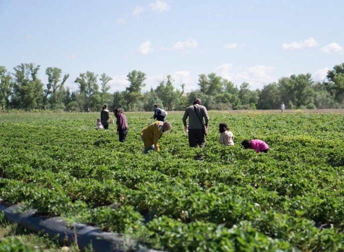 SEO/BirdLife pide un nuevo modelo de alimentación que genere empleo rural, salud