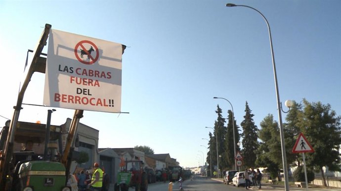 Agricultores de Calamonte (Badajoz) protestan con una tractorada por los daños q