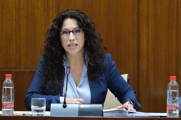 La consejera de Igualdad, Rocío Ruiz, este miércoles durante su comparencia en comisión para presentar el presupuesto de 2020.