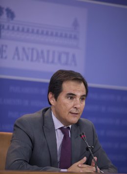 El portavoz parlamentario del PP-A, José Antonio Nieto, comparece este miércoles en rueda de prensa.