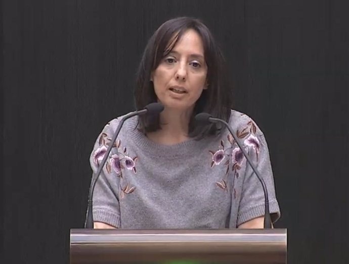 La edil del PSOE en el Ayuntamiento de Madrid, Mercedes González, interviene en el Pleno municipal