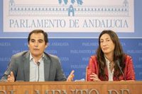 PP-A agradece a Vox que no presente enmienda a la totalidad del Presupuesto, que "ha superado un escollo muy importante"