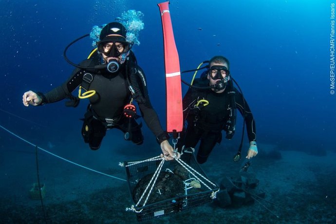 Arqueólogos marinos durante el rescate de objetos del 'Mentor'.