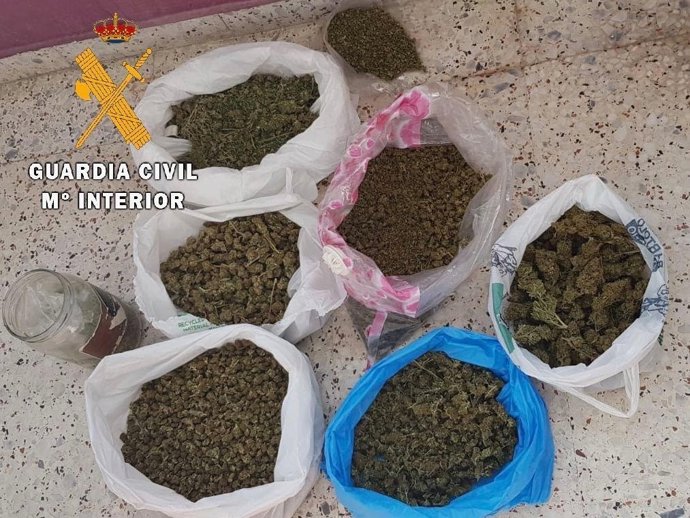Marihuana incautada en Cáceres