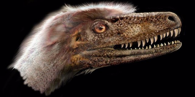 Saurornitholestes langstoni