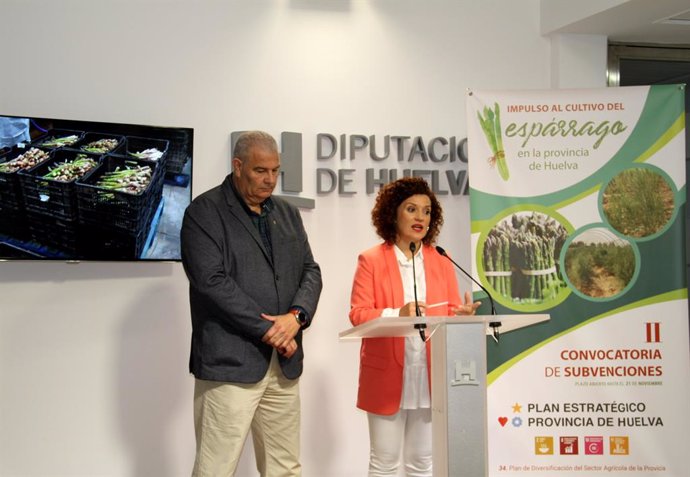 Huelva.- Diputación impulsa el cultivo del espárrago como apuesta por la diversi