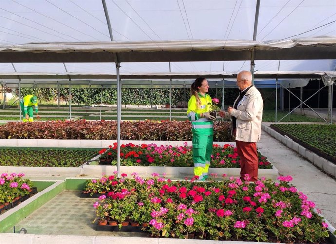 Plantas del vivero municipal de Estepona que surten a la localidad para la mejora y ampliación de sus jardines