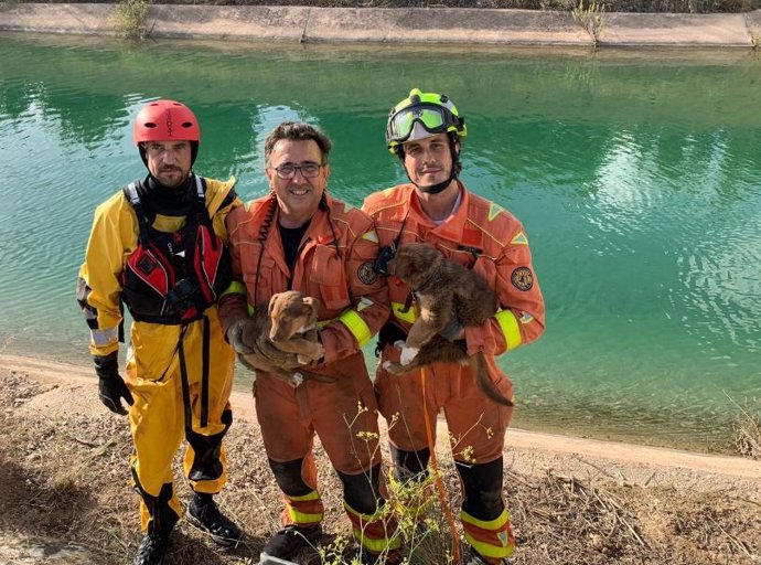 Bomberos rescatan a dos cachorros en el canal del Júcar
