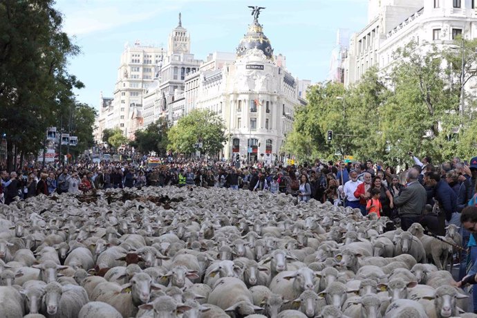 La fiesta de la Trashumancia en Madrid