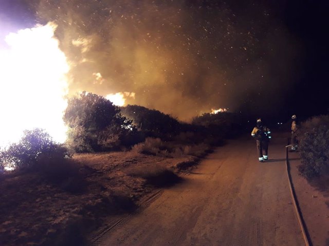 Efectivos del Plan Infoca trabajan en el incendio forestal de Manilva.
