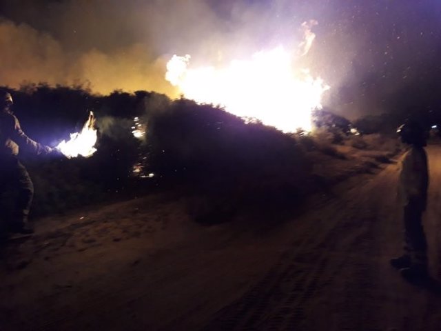 Incendio forestal en el paraje Pinar del Tábano en Manilva.