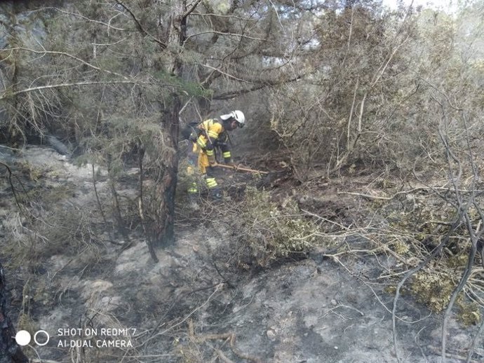 Un agente participa en las tareas de extinción de un fuego que ha afectado a la isla de Formentera.