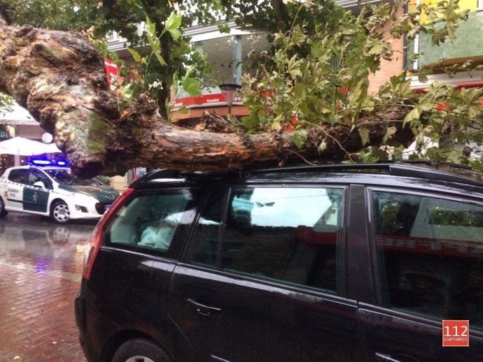 La rama de un árbol cae sobre un coche y hiere a una mujer en Cabezón de la Sal