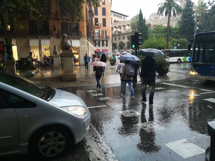 Peatones con paraguas cruzando un paso de cebra bajo la lluvia, en Palma.