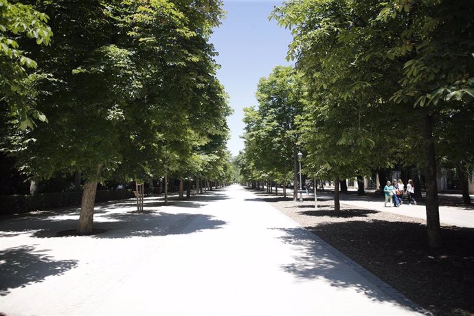 Imagen de recurso del un paseo con árboles y vegetación en el Parque del Retiro de Madrid.
