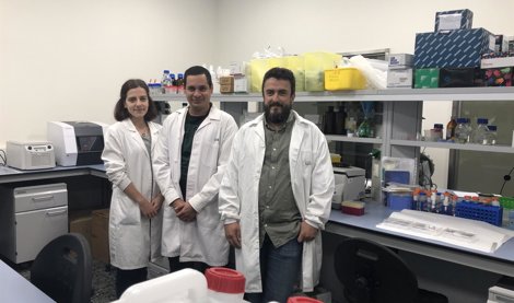 Investigación