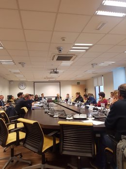 Una imagen de la comisión de Medio Ambiente y Movilidad del Ayuntamiento de Madrid