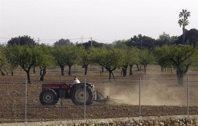 Campo de cultivo en Mallorca