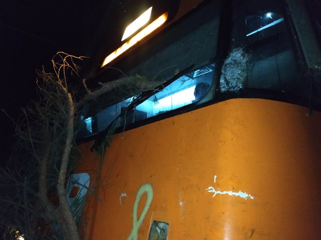 Accidente de un tren de Rodalies entre Les Franqueses y La Garriga (Barcelona) por un árbol cortado intencionadamente.