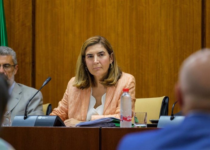 La consejera de Empleo, Formación y Trabajo Autónomo, Rocío Blanco, en comisión parlamentaria. (Foto de archivo).