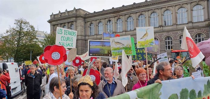 Representantes de ONG de 19 Estados miembro exigen ante el Parlamento Europeo en Bruselas una PAC justa, solidaria y responsable con el medio ambiente.
