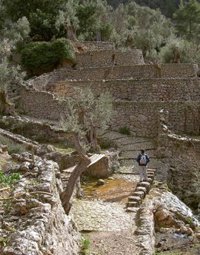 El Consell, satisfecho por la sentencia del TC que avala la Ley de Caminos