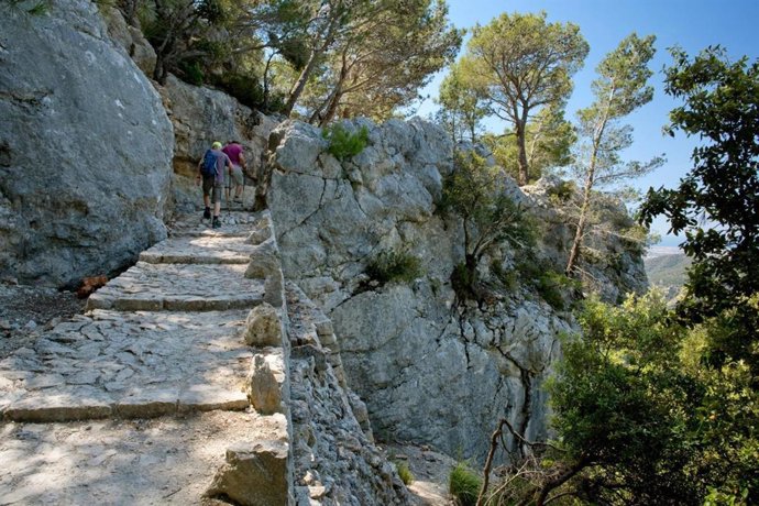 Imagen de uno de los caminos de la Ruta de la Pedra en Sec, en la isla de Mallorca.