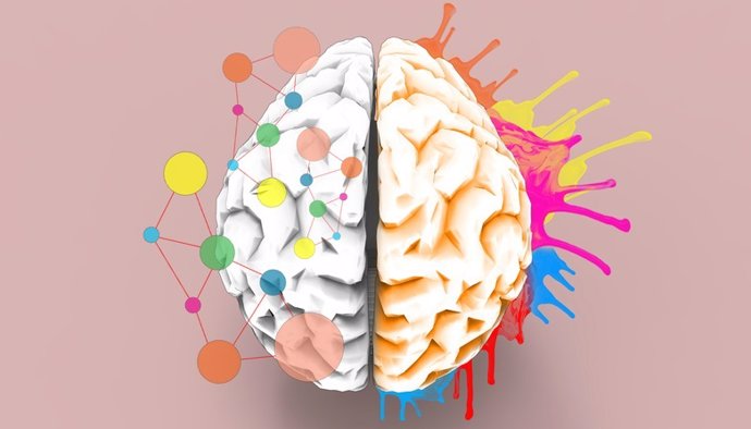Sinestesia, cerebro con colores.