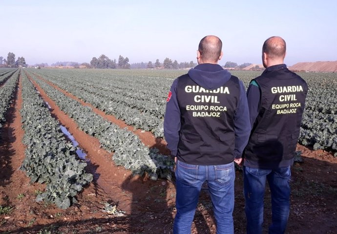 Investigación por robos en explotaciones agrícolas en la provincia de Badajoz