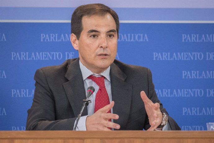 El portavoz parlamentario del PP-A, José Antonio Nieto, en rueda de prensa