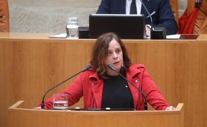 La diputada de IU y vicepresidenta del Parlamento de La Rioja, Henar Moreno