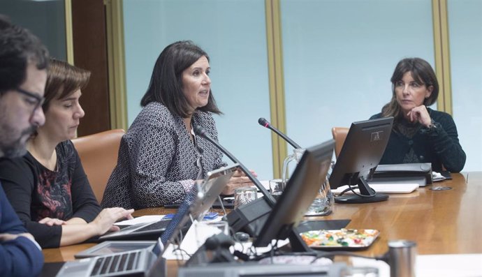 La Comisión de Empleo, Políticas Sociales y Juventud del Parlamento Vasco ha acogido este miércoles la comparecencia de Landaida