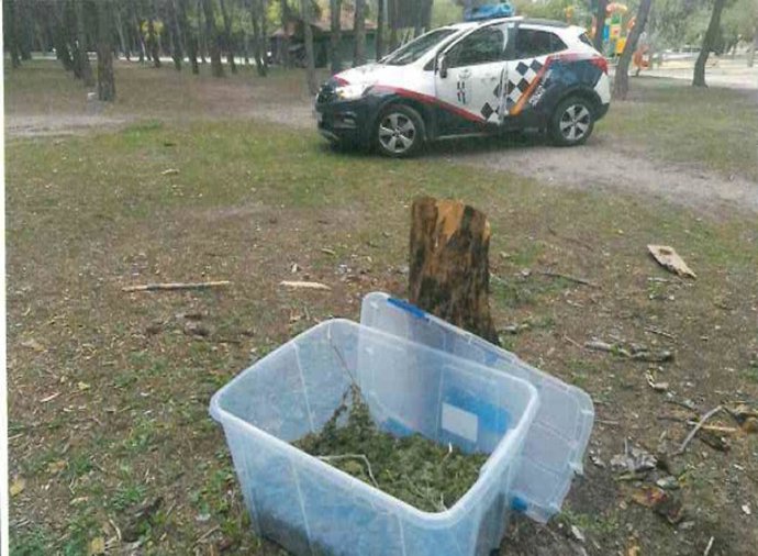 La Policía local de Getafe encuentran una caja con 6 kilos de marihuana en el Cerro de los Ángeles