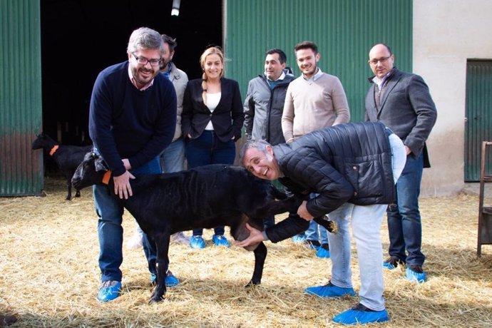 El dirigente de Cs Fran Hervías visita una granja de caprino