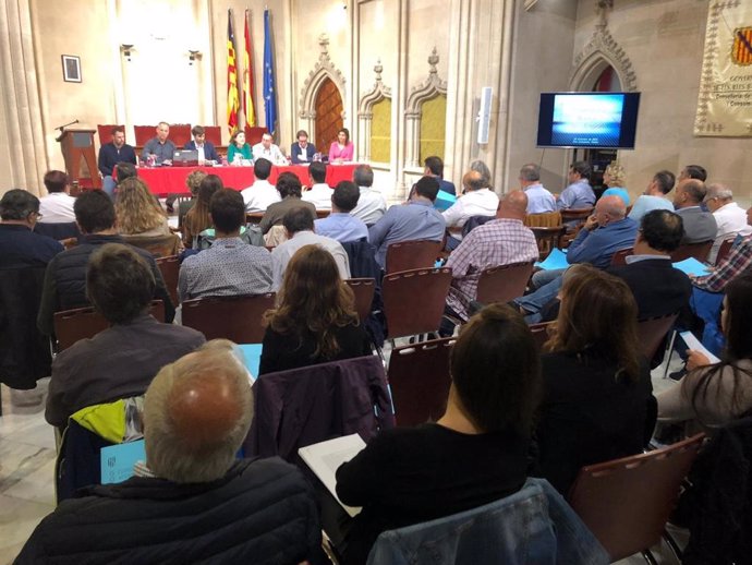 La Conselleria de Asuntos Sociales y Deportes del Govern ha presentado este miércoles el borrador del Plan estratégico de Deportes de Baleares para los años 2020-2023,