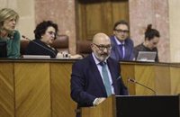 Vox pide PP-A y Cs "lealtad y fidelidad" al acuerdo presupuestario y mayor ritmo de cumplimiento de los acuerdos