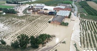EpAgro