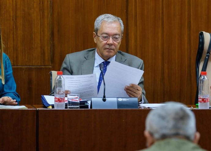 El consejero de Economía, Conocimiento, Empresas y Universidad, Rogelio Velasco, en comisión parlamentaria, en una imagen de archivo.