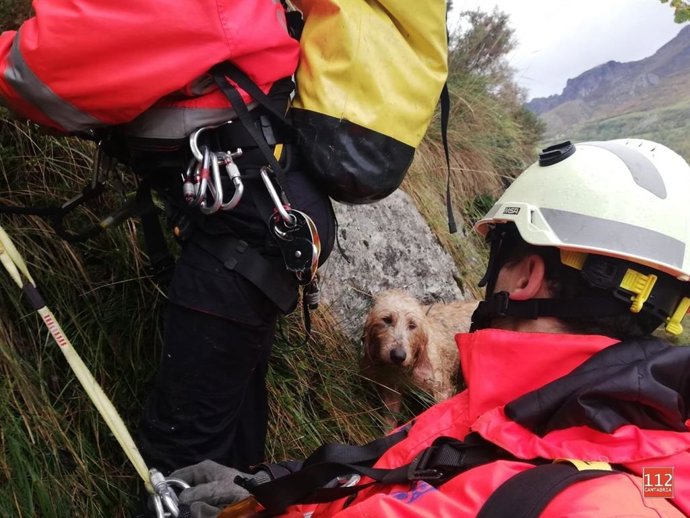 Bomberos del 112 recatan al perro