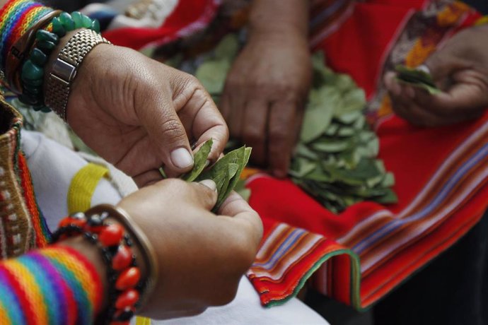 Indígenas con hojas de coca en Perú