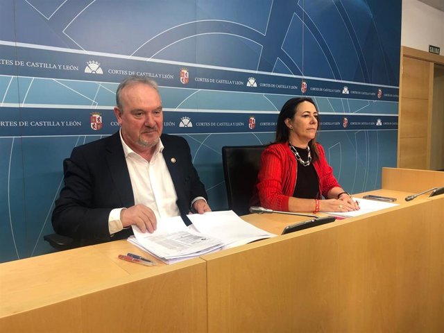 El coordinador del área de Economía e Industria del Grupo Parlamentario Socialista, José Francisco Martín, y la portavoz socialista de Hacienda en las Cortes, Rosa Rubio.