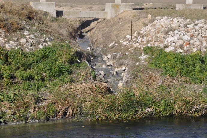Imagen de un tramo del río Manzanares.