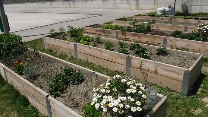 Programa de huertas escolares.