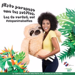 Costa Rica lanza una campaña para proteger a los animales de selfies crueles o inadecuados